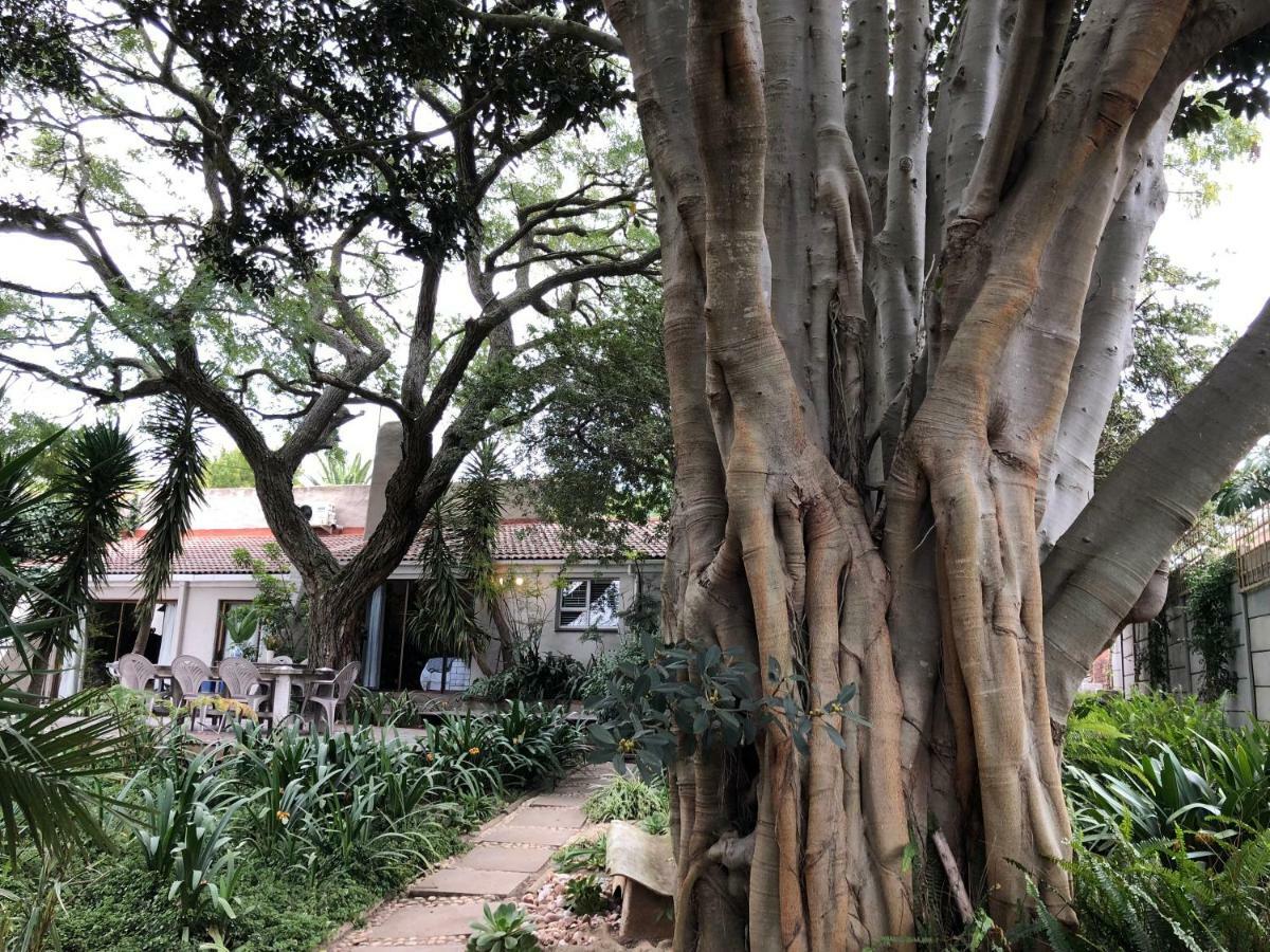 The Wild Fig Otel Durbanville Dış mekan fotoğraf